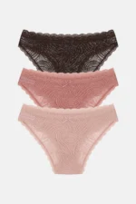 Women's 3-Pack Lace Trim Regular Waist Slip Panties Set - Nude / Brown / Pink