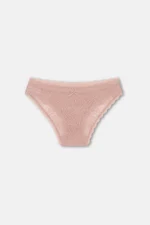 Women's 3-Pack Lace Trim Regular Waist Slip Panties Set - Nude / Brown / Pink - Image 2
