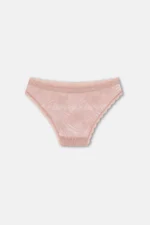 Women's 3-Pack Lace Trim Regular Waist Slip Panties Set - Nude / Brown / Pink - Image 5