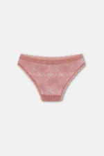 Women's 3-Pack Lace Trim Regular Waist Slip Panties Set - Nude / Brown / Pink - Image 6